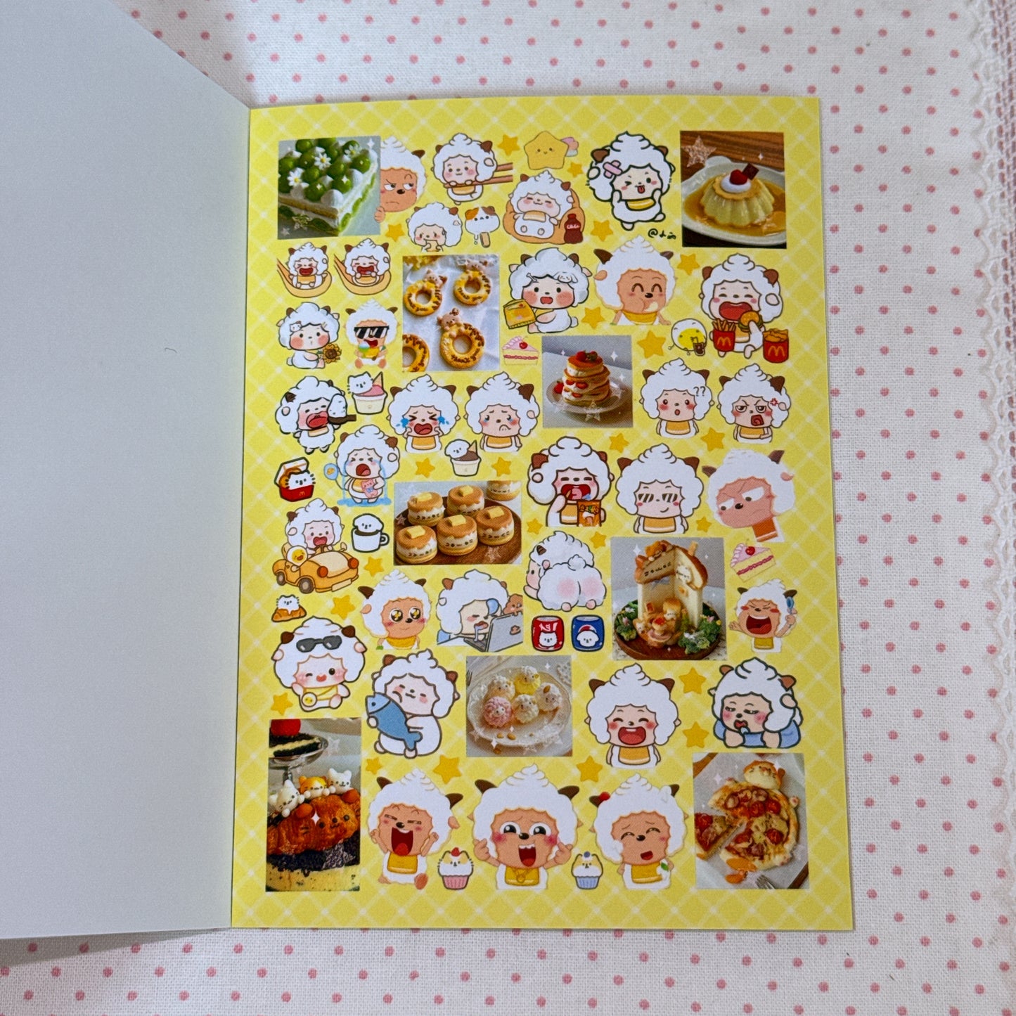 Sticker Book ♡ 30 pages