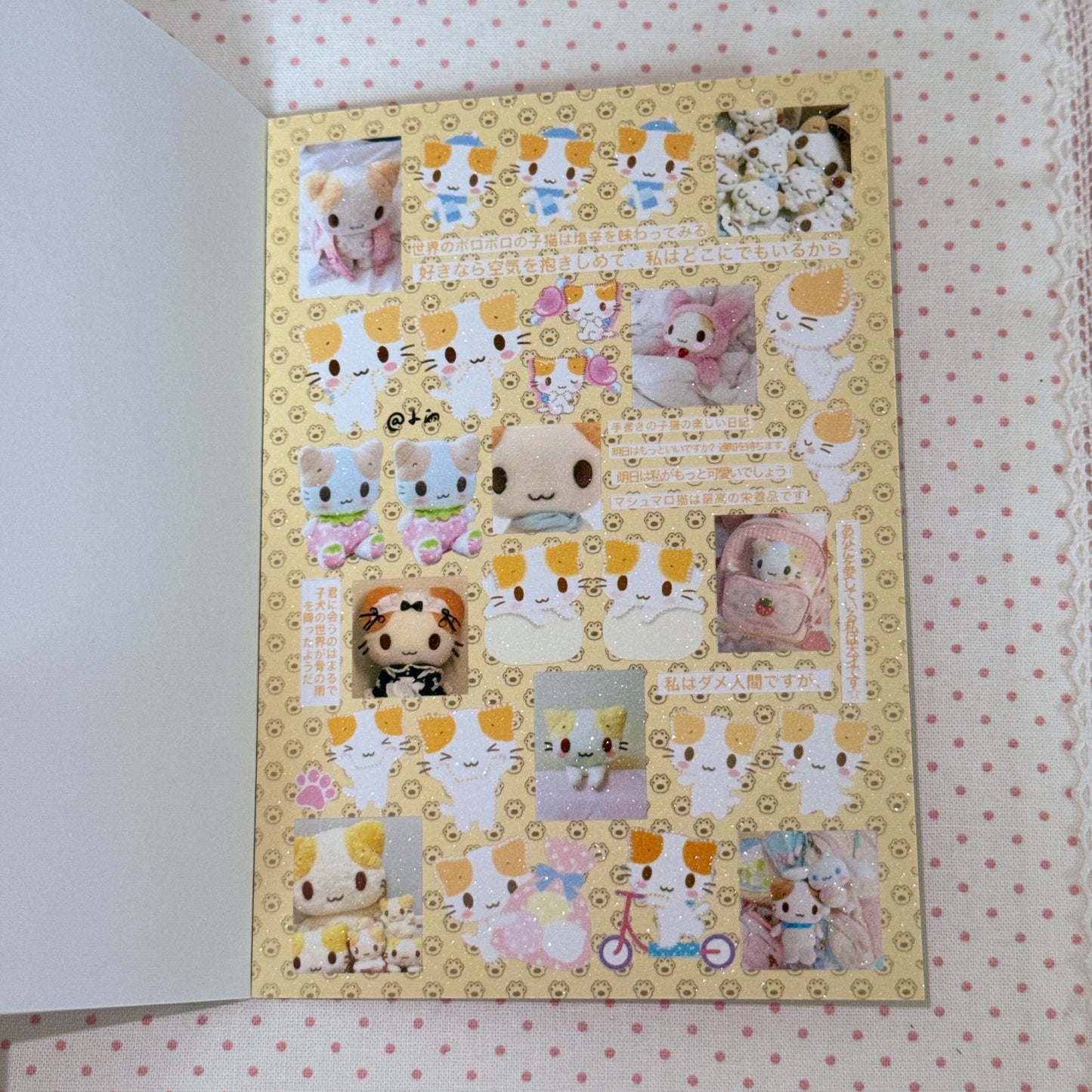 Sticker Book ♡ 30 pages