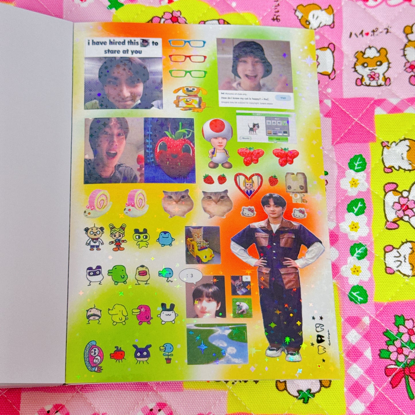 Sticker Book ♡ 32 pages