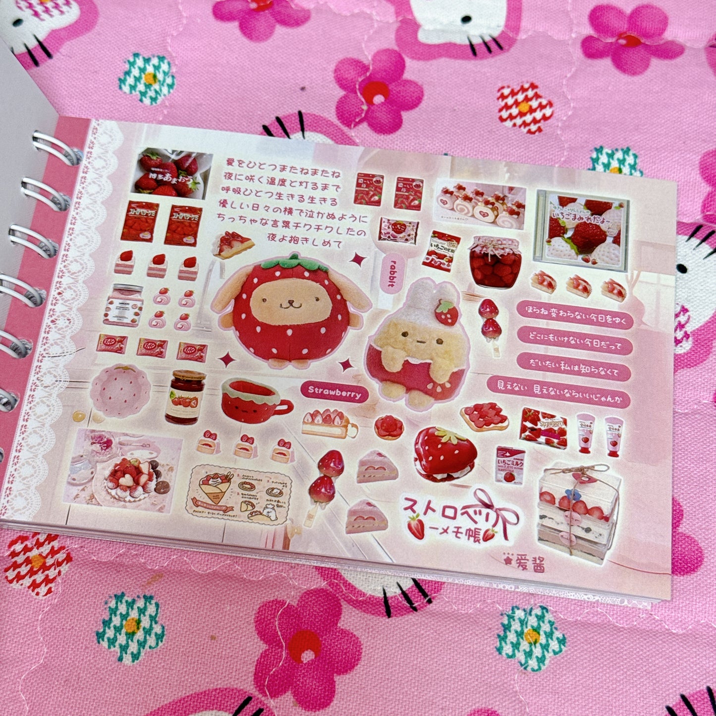 Sticker Book ♡ 35 pages