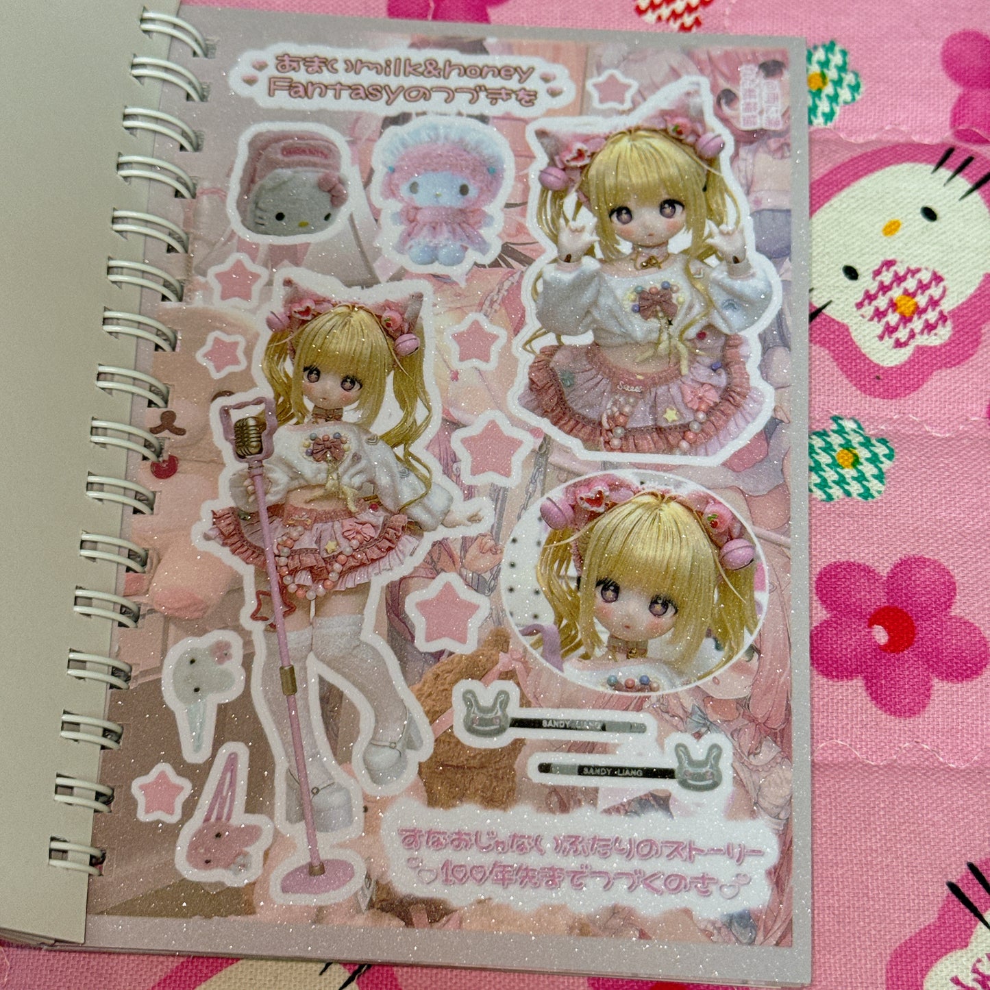 Sticker Book ♡ 30 pages