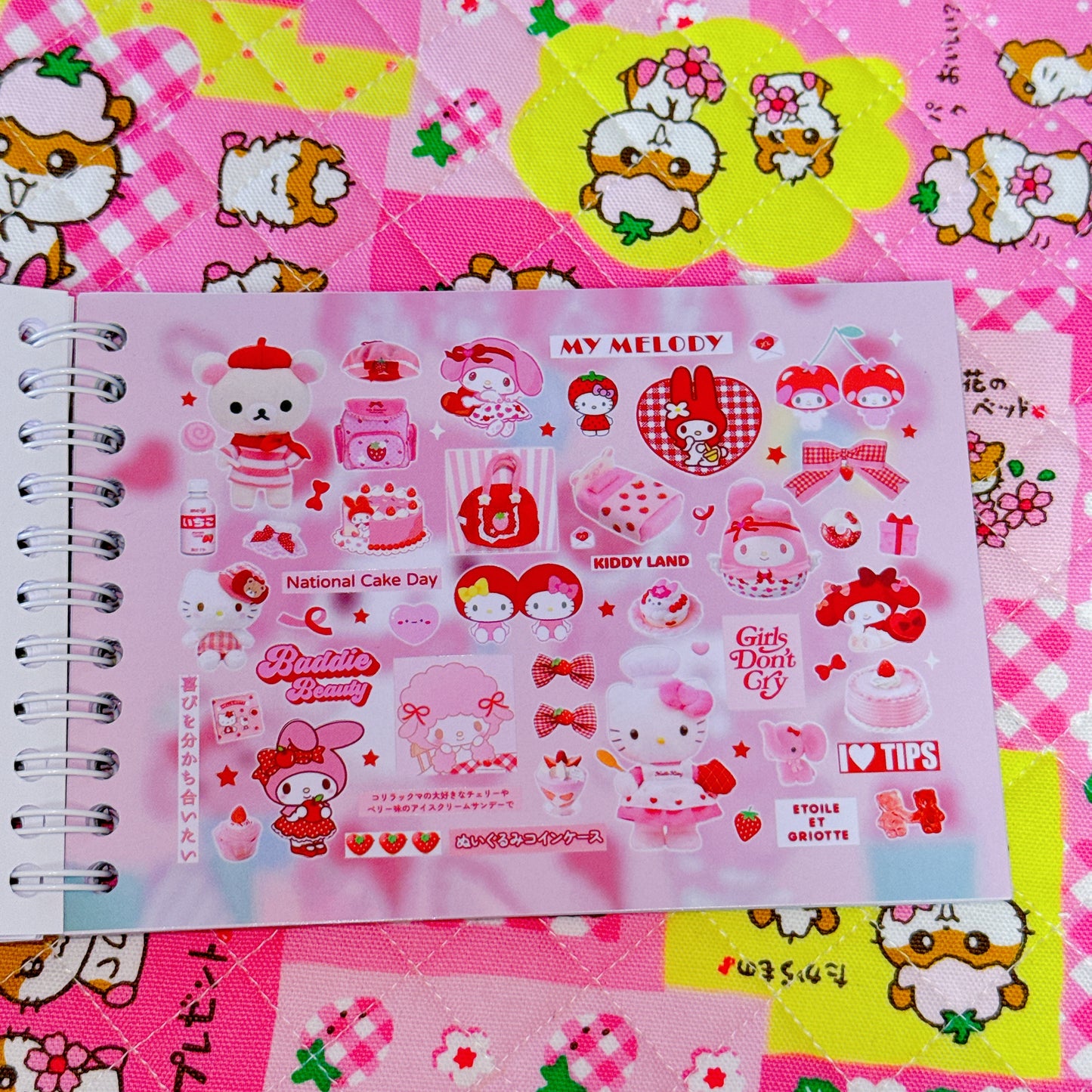 Sticker Book ♡ 30 pages