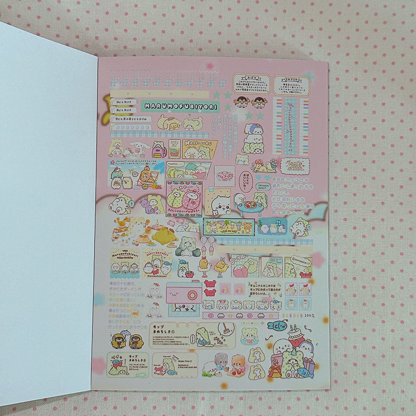 Sticker Book ♡  40 pages