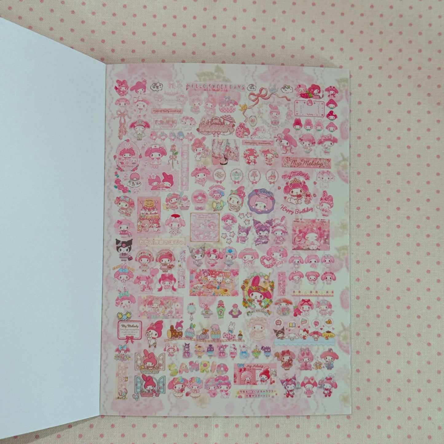 Sticker Book ♡  40 pages