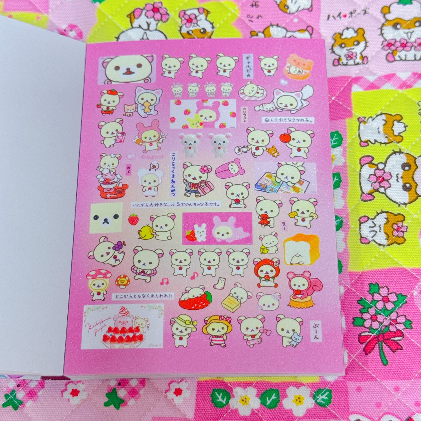 Sticker Book ♡ 35 pages
