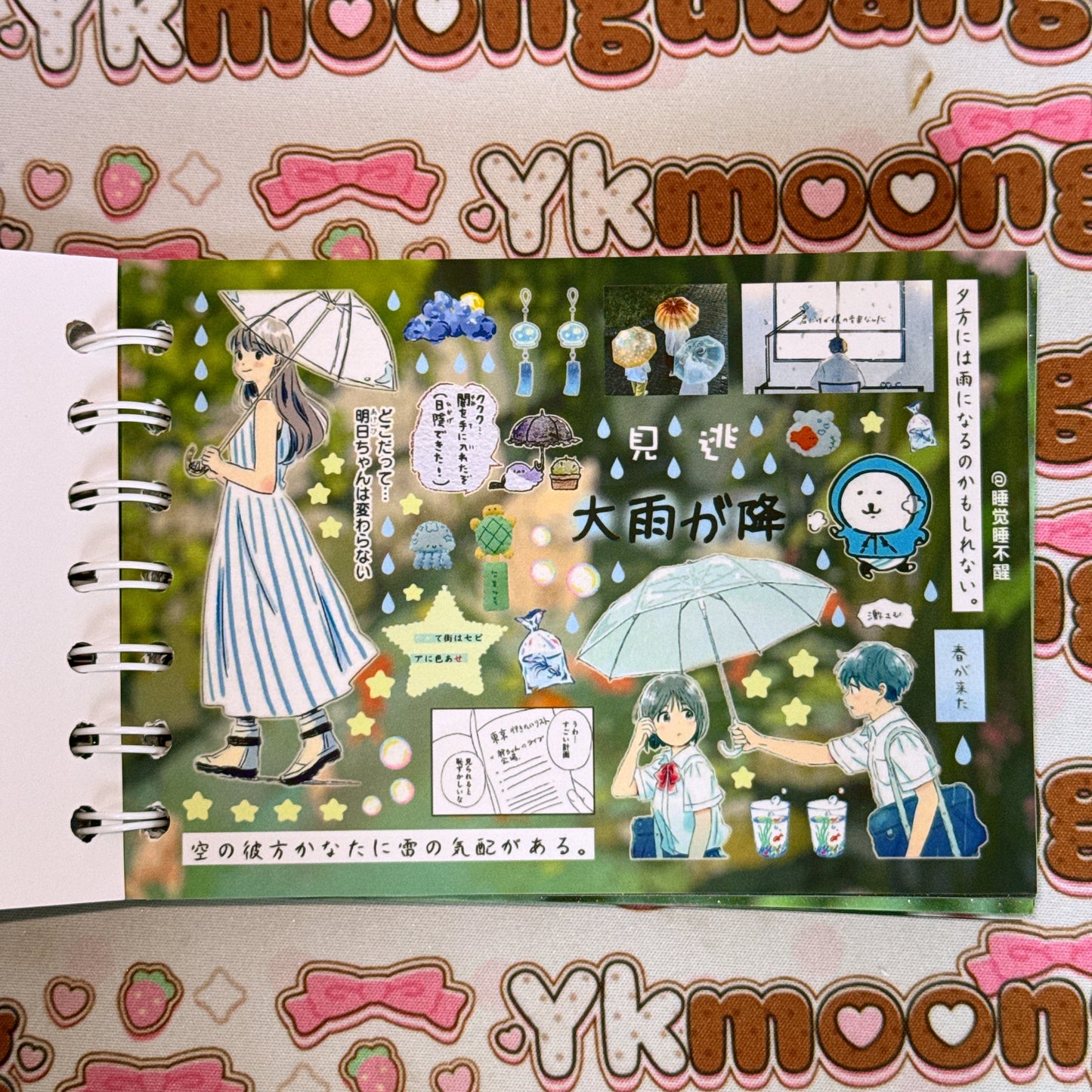 Sticker Book ♡ 40 pages