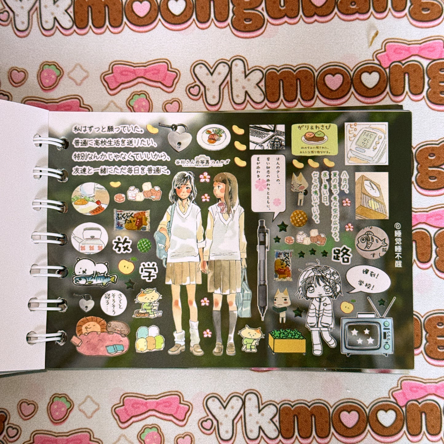 Sticker Book ♡ 40 pages
