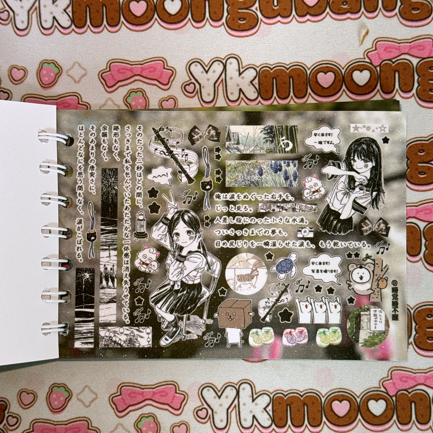 Sticker Book ♡ 40 pages