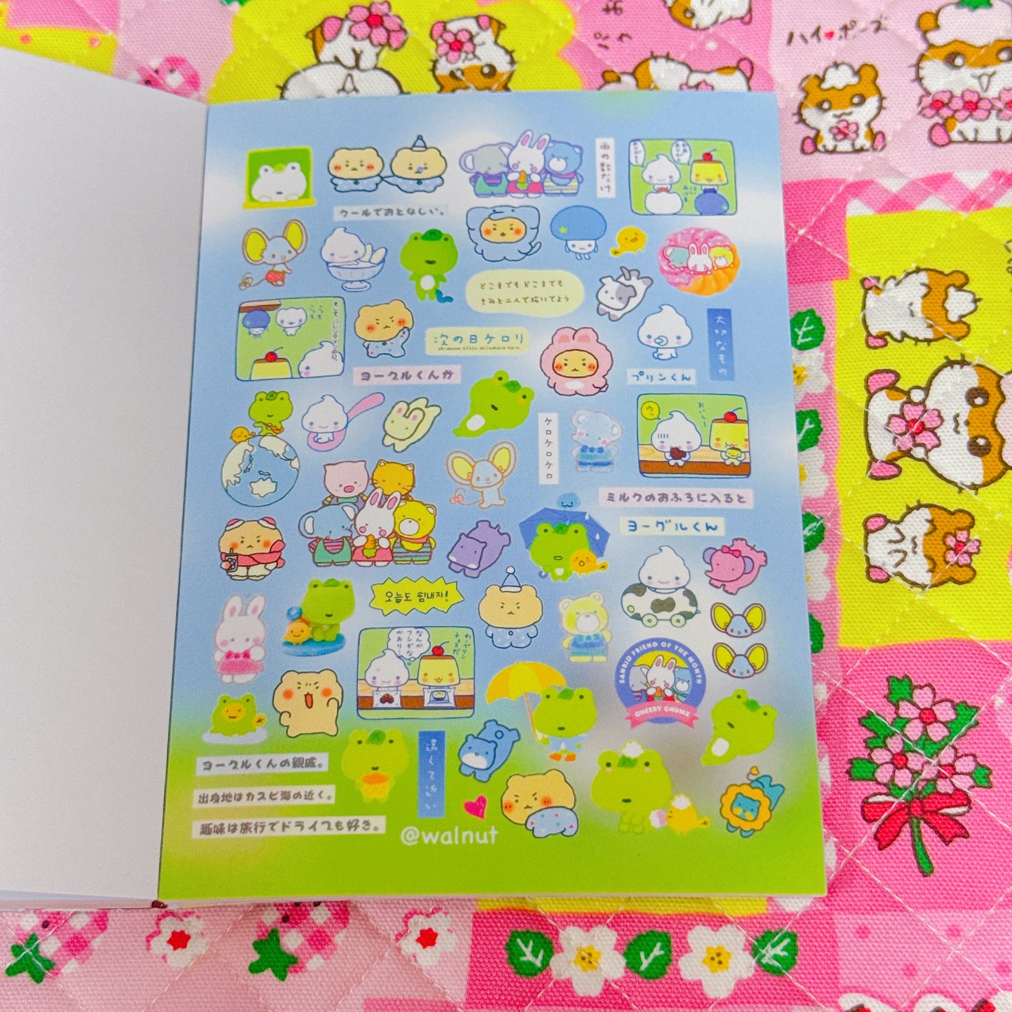 Sticker Book ♡ 35 pages