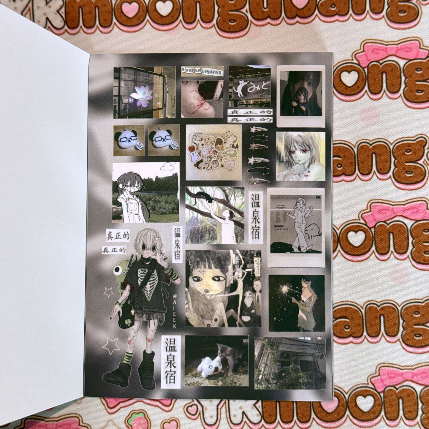 Sticker Book ♡ 50 pages (defect, loose binding)