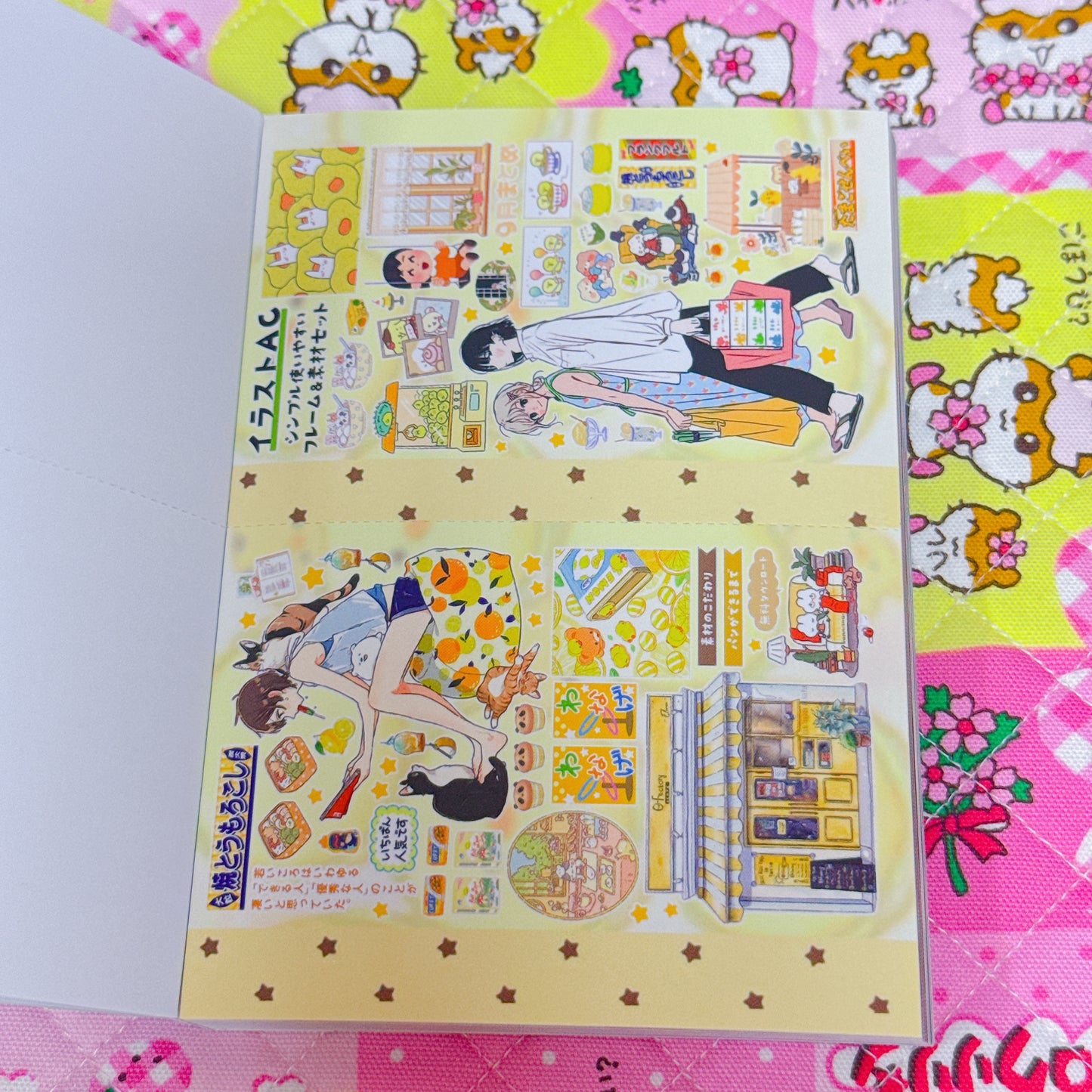 Sticker Book ♡ 35 pages