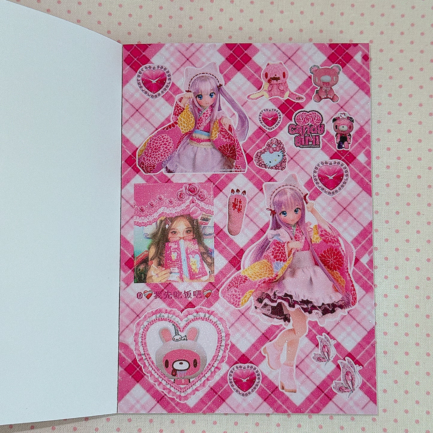 Sticker Book ♡  30 pages