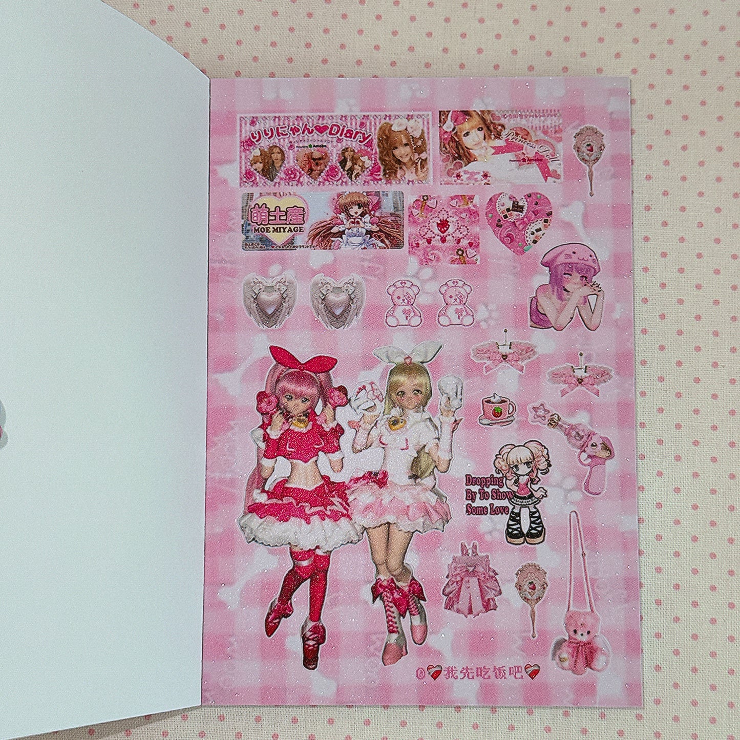 Sticker Book ♡  30 pages