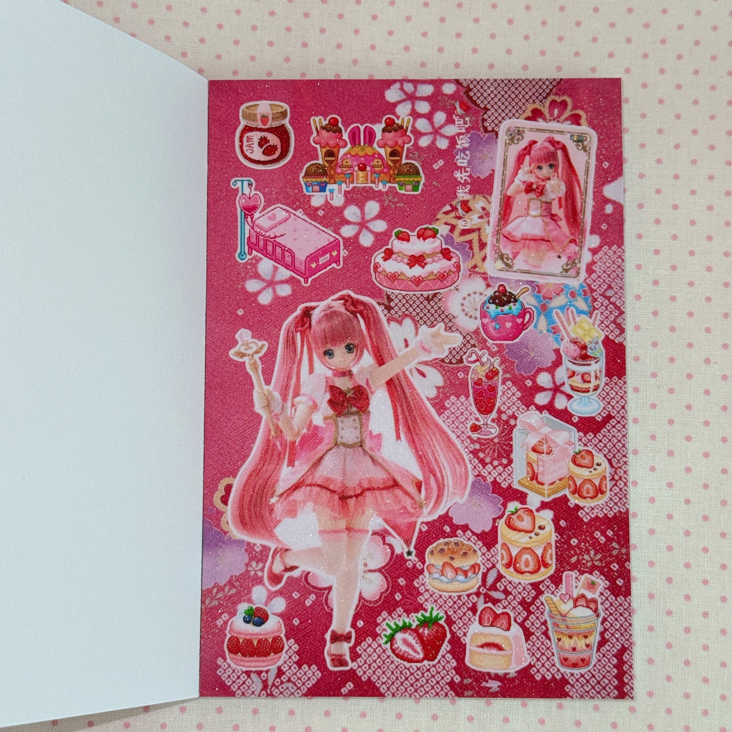Sticker Book ♡  30 pages