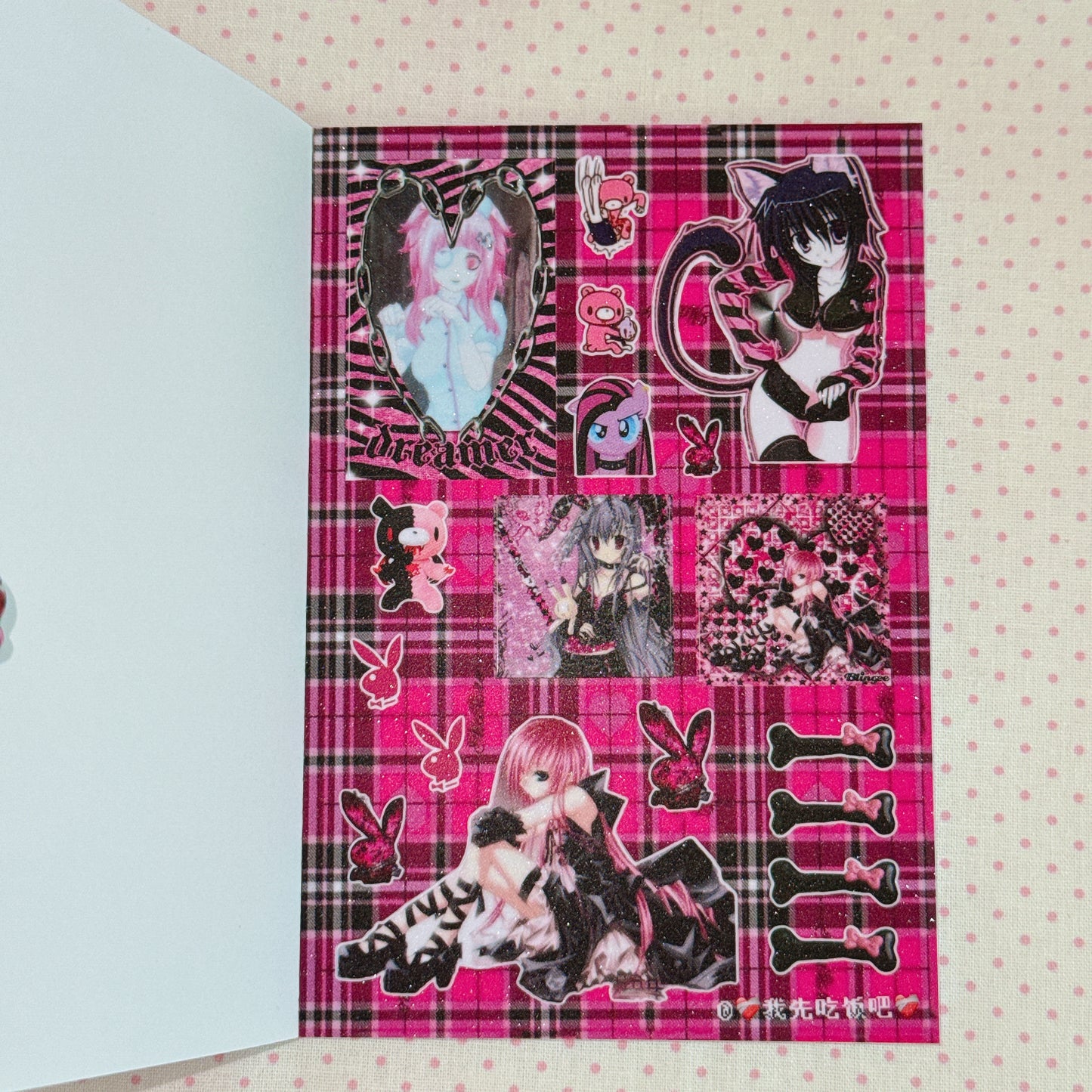 Sticker Book ♡  30 pages