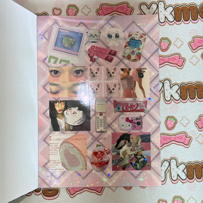 Sticker Book ♡ 30 pages