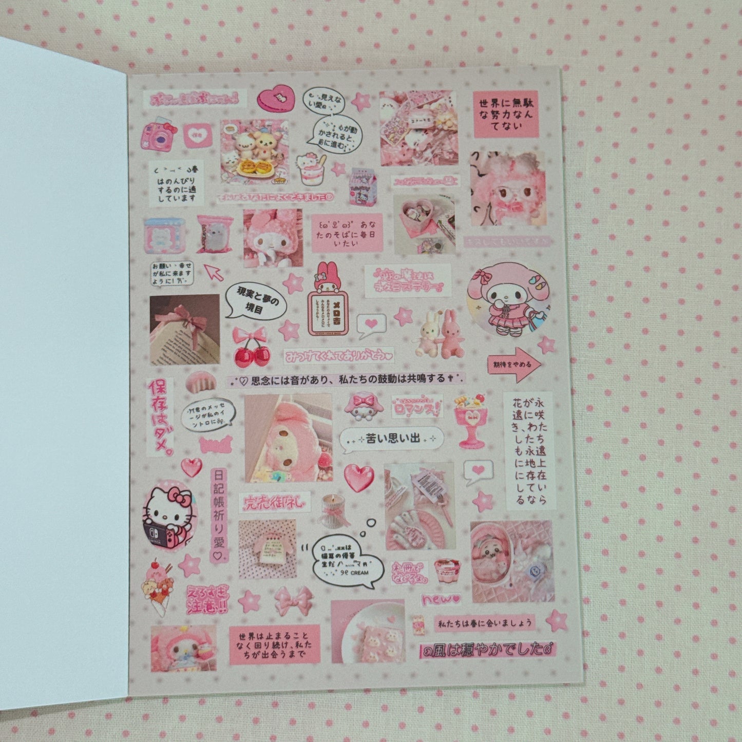 Sticker Book ♡  40 pages