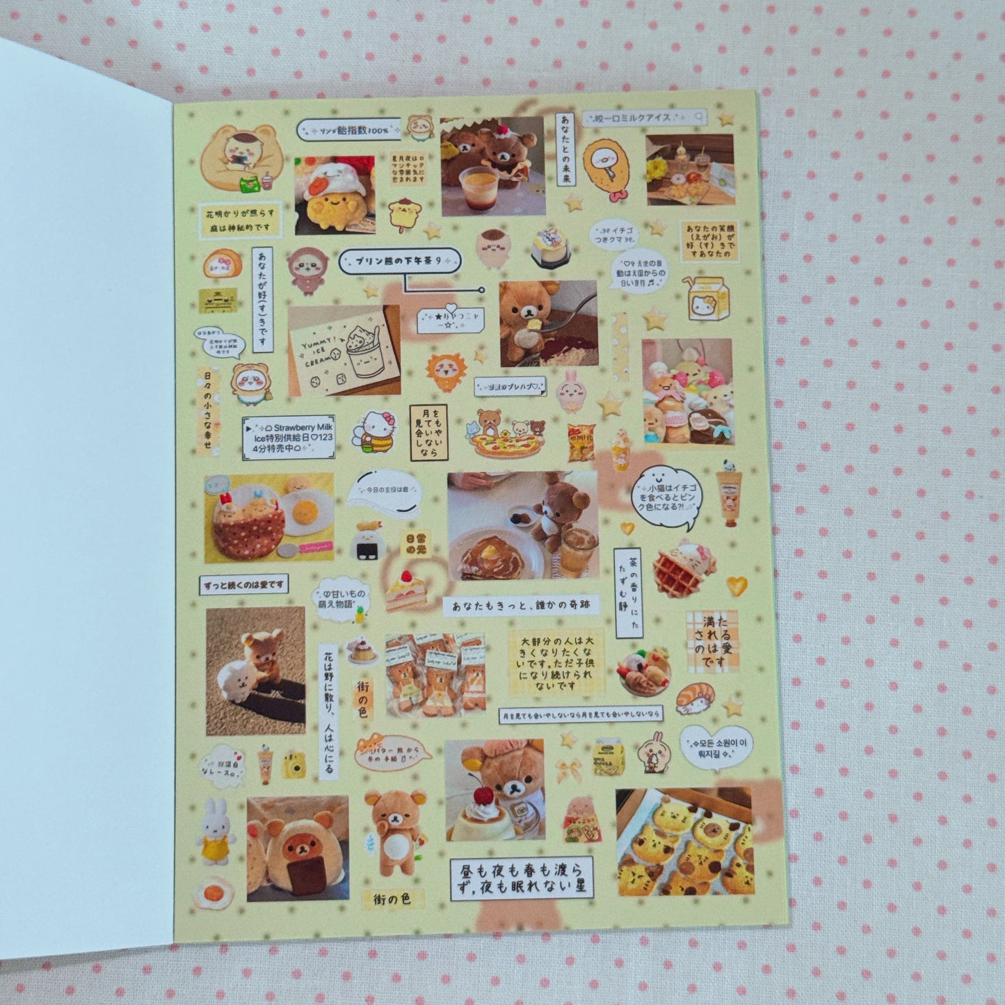 Sticker Book ♡  40 pages
