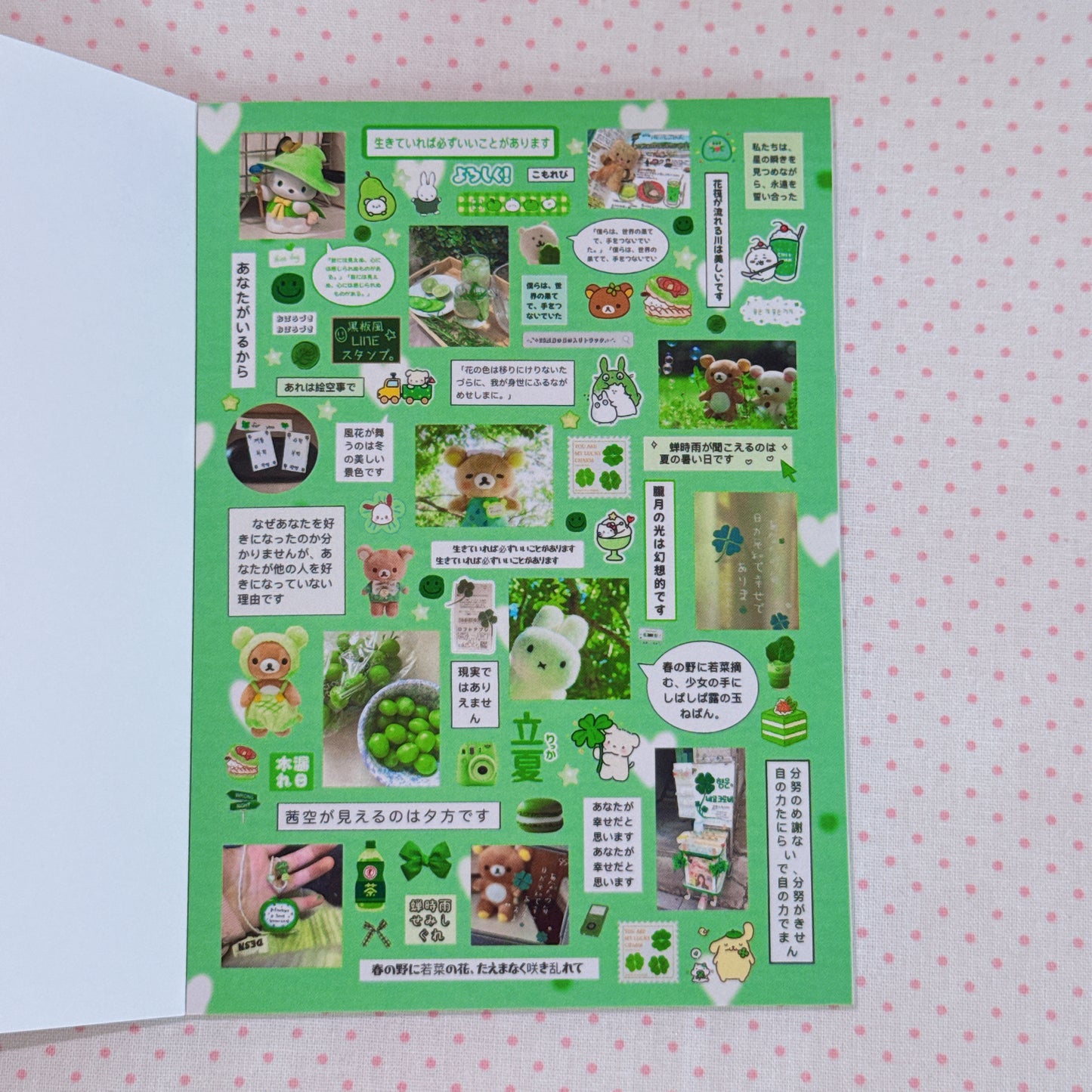 Sticker Book ♡  40 pages