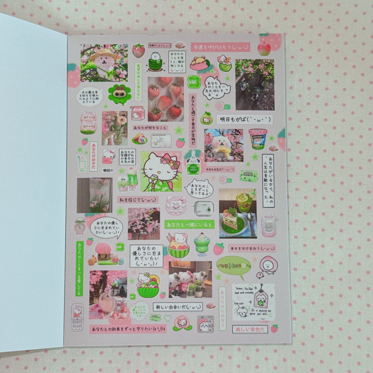 Sticker Book ♡  40 pages