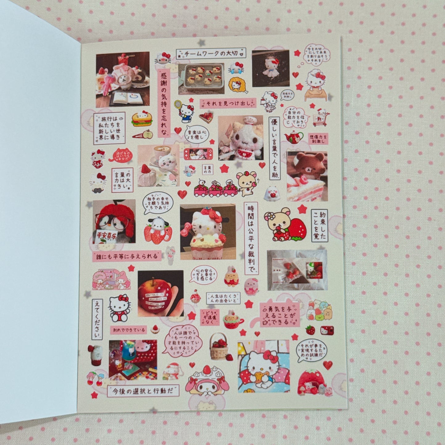 Sticker Book ♡  40 pages