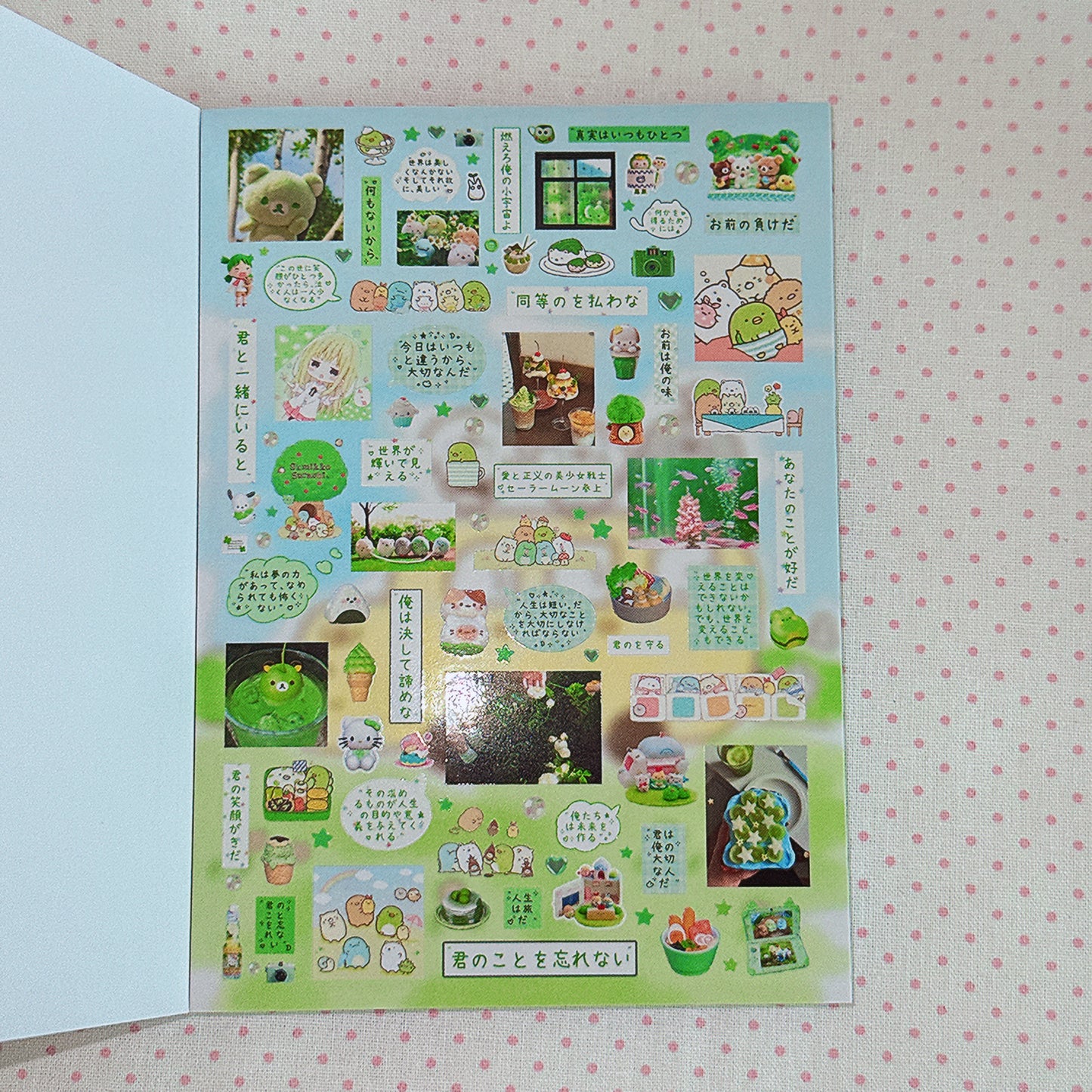 Sticker Book ♡  40 pages