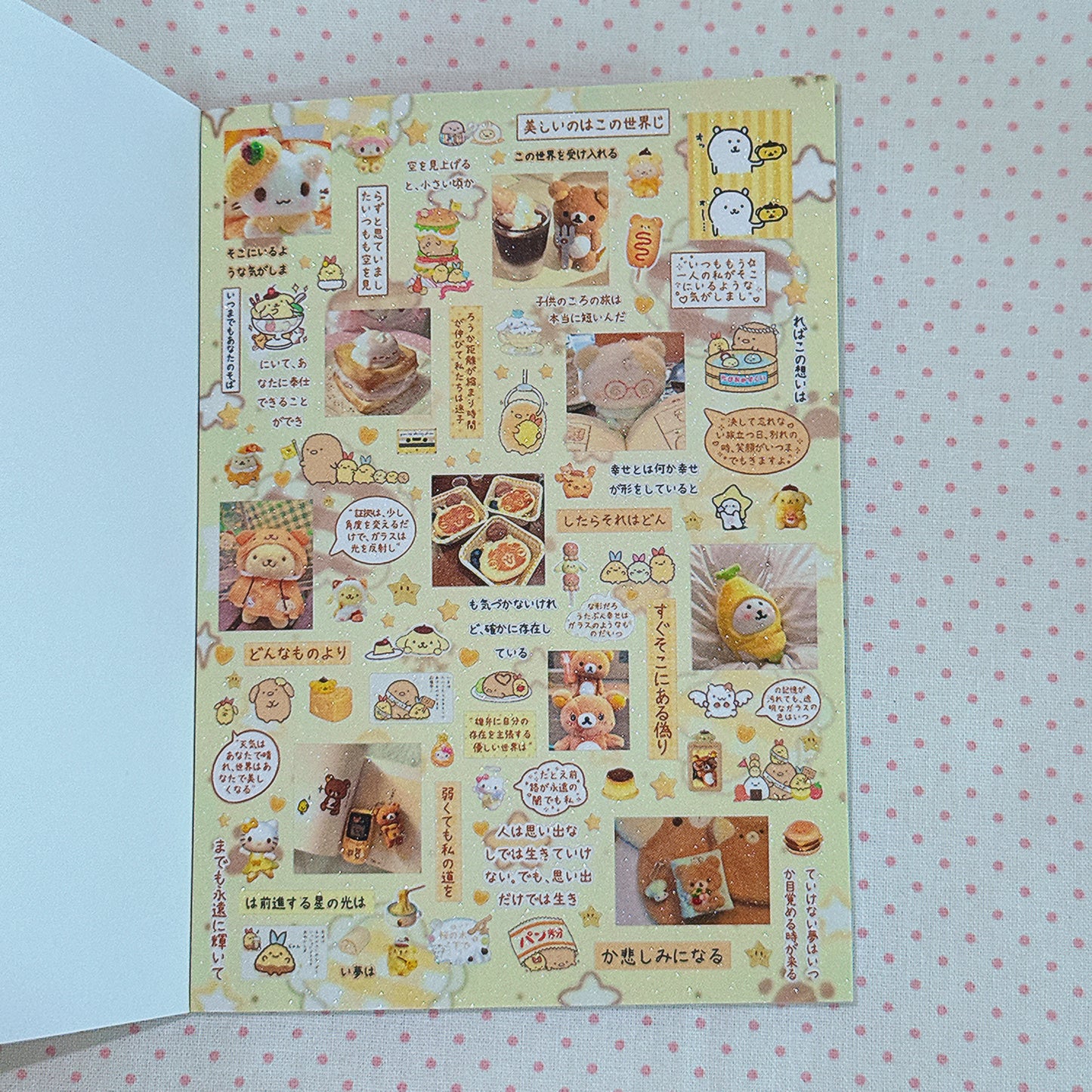 Sticker Book ♡  40 pages