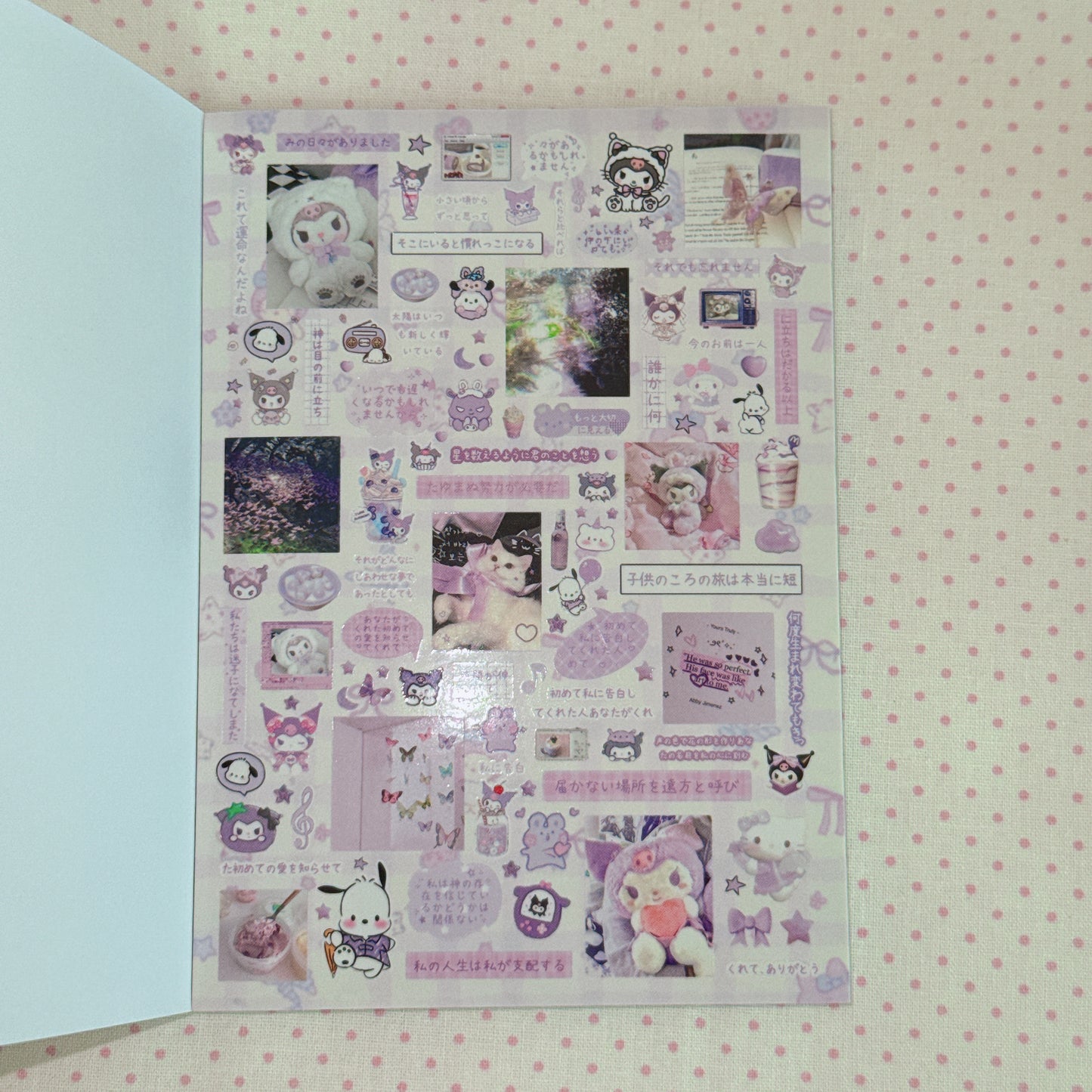 Sticker Book ♡  40 pages