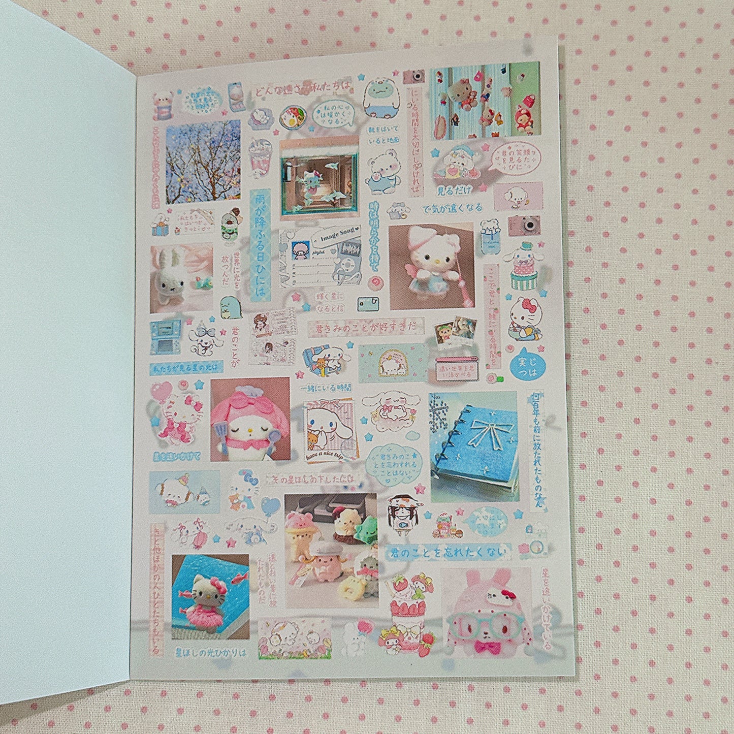 Sticker Book ♡  40 pages