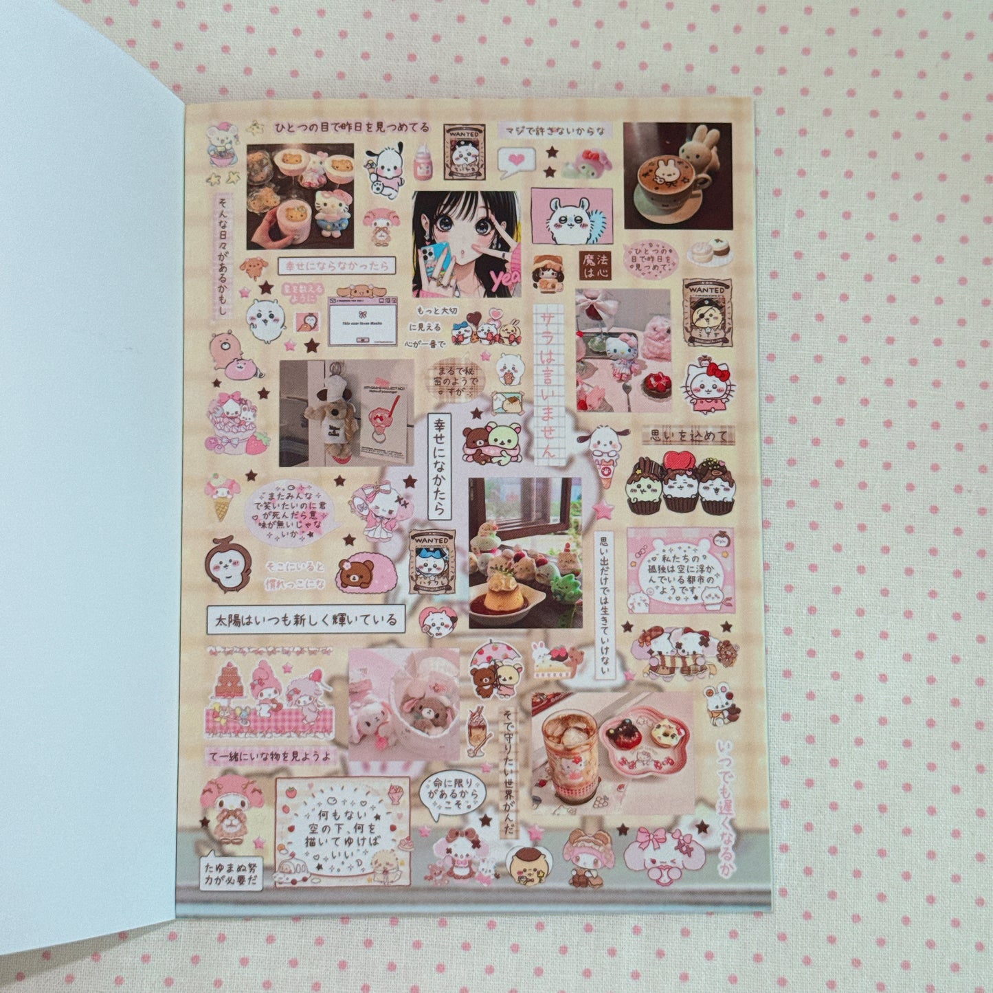Sticker Book ♡  40 pages
