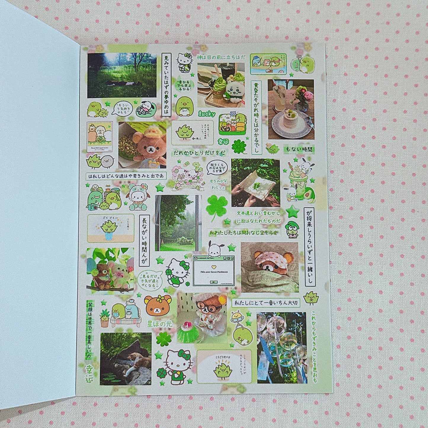 Sticker Book ♡  40 pages