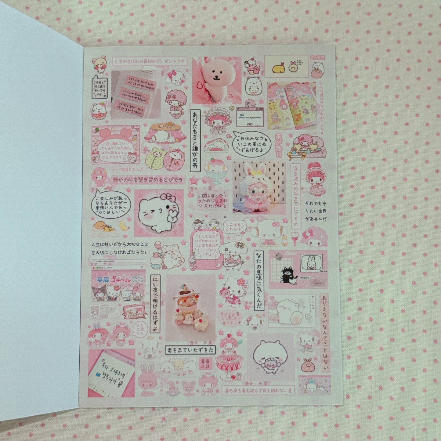 Sticker Book ♡  40 pages