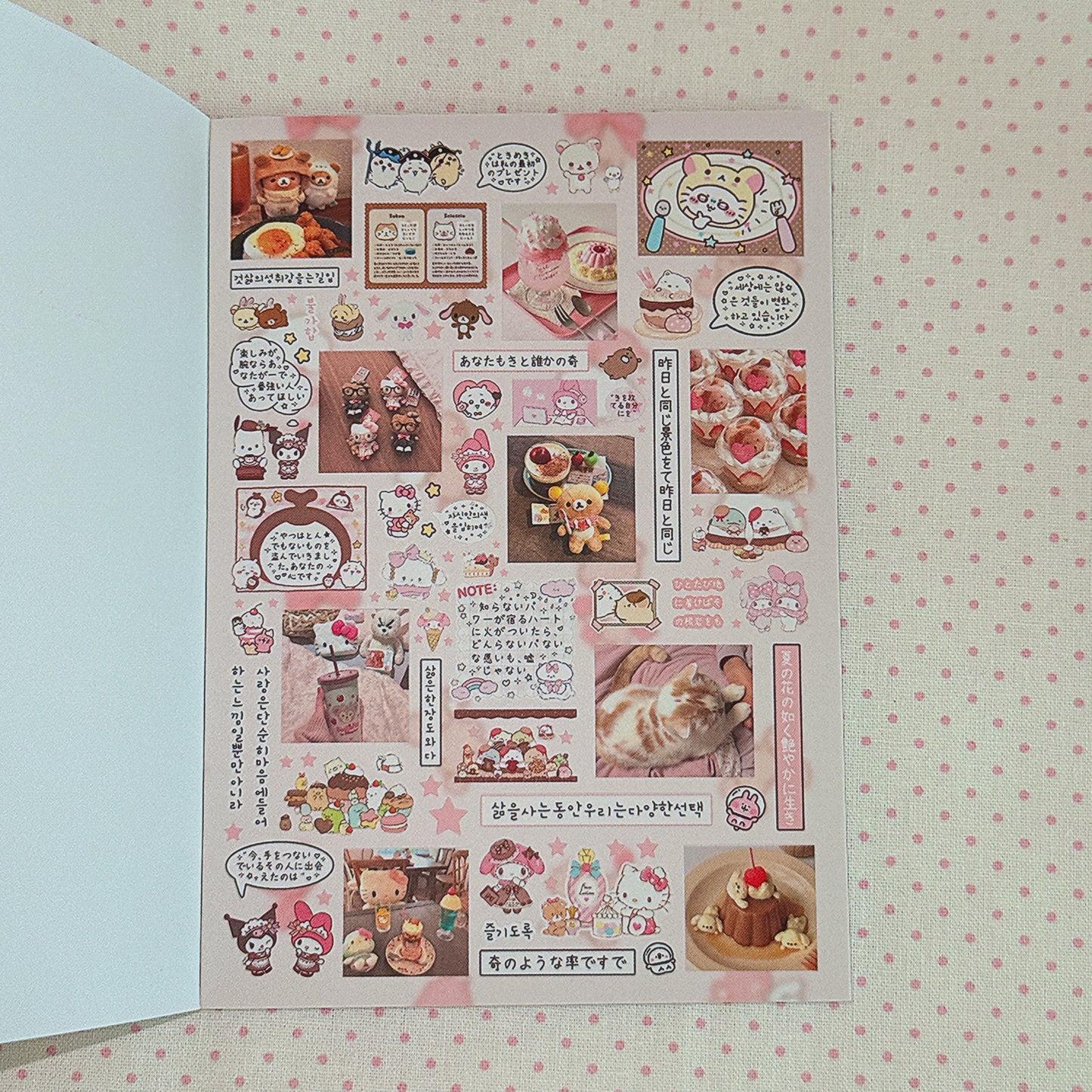 Sticker Book ♡  40 pages