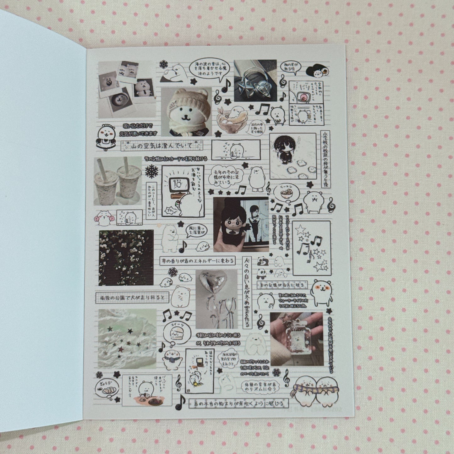 Sticker Book ♡  40 pages