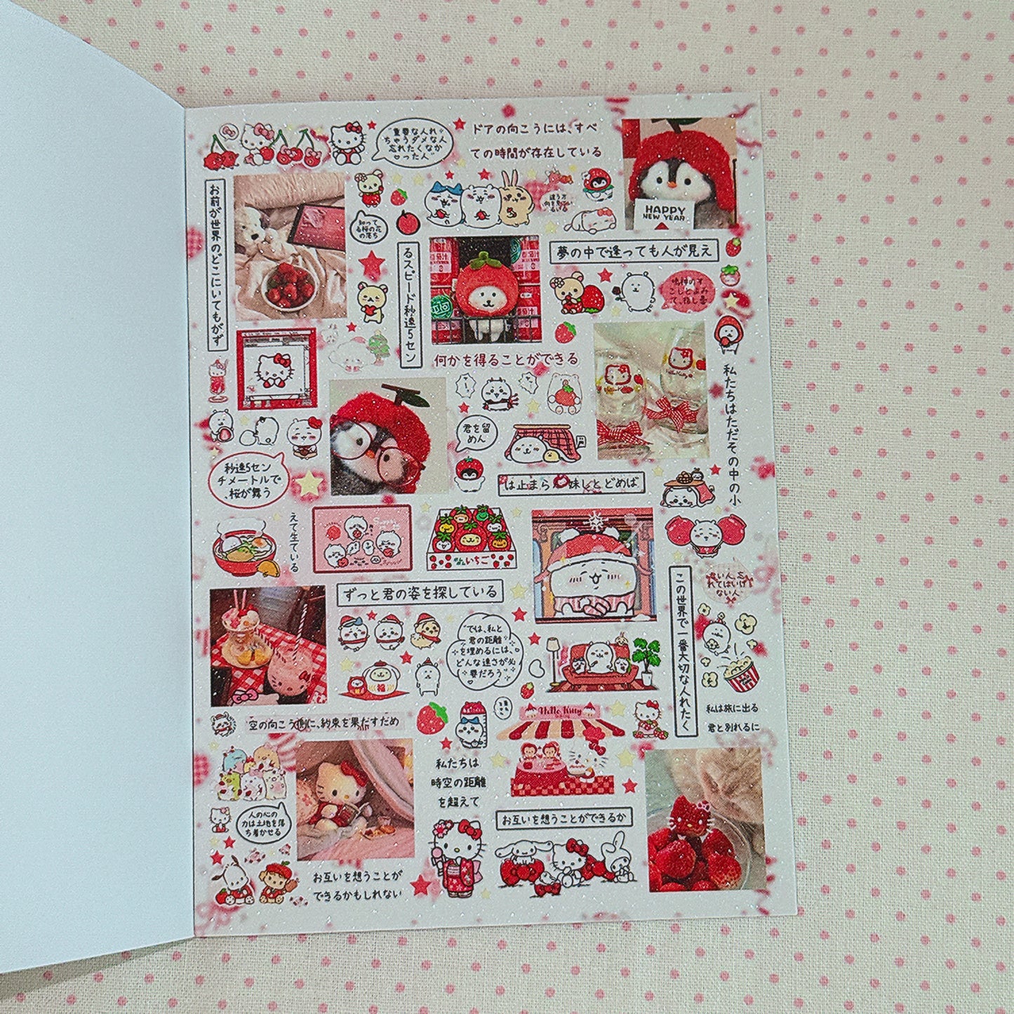 Sticker Book ♡  40 pages