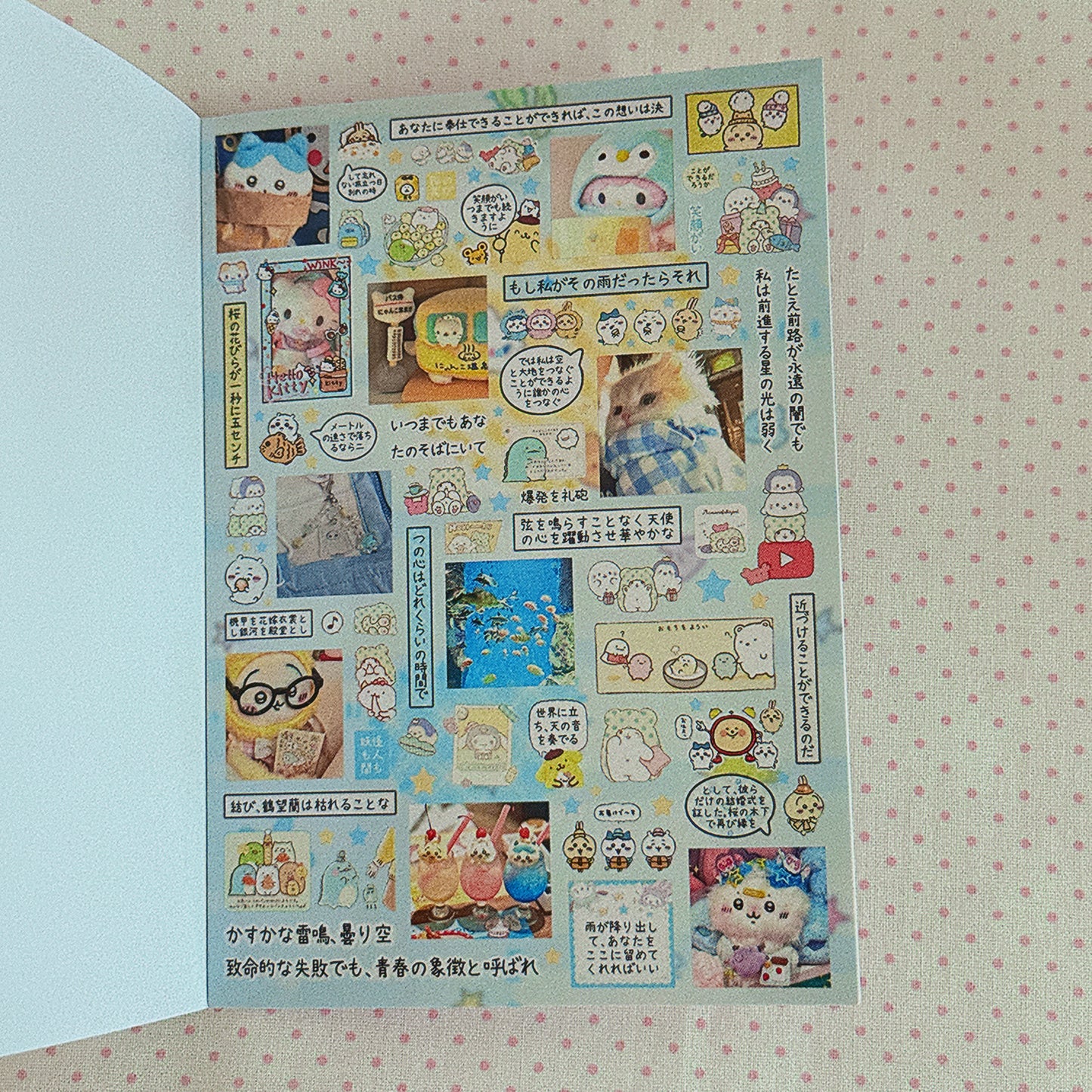 Sticker Book ♡  40 pages