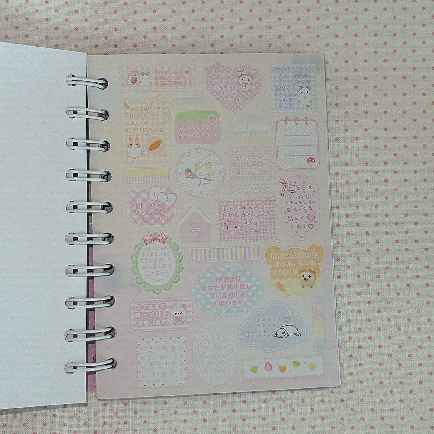 Sticker Book ♡ 50 pages