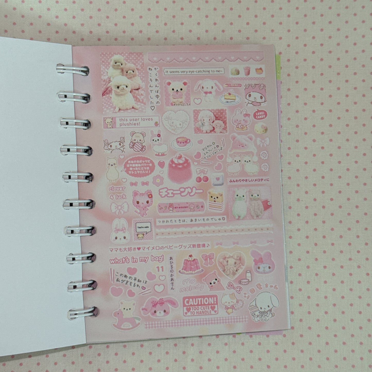 Sticker Book ♡ 50 pages