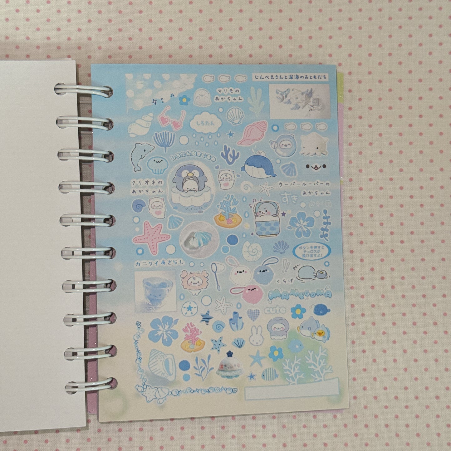 Sticker Book ♡ 50 pages