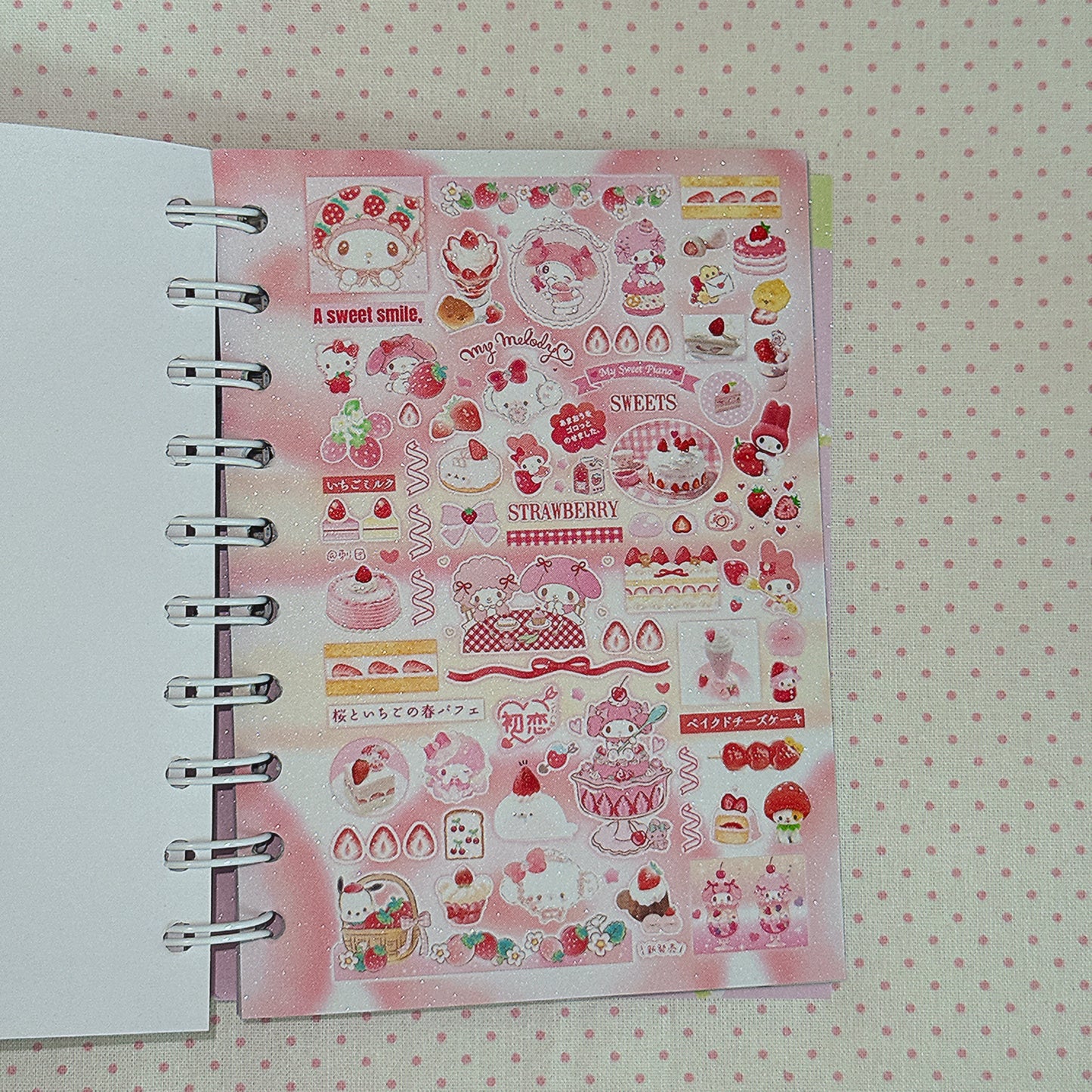 Sticker Book ♡ 50 pages