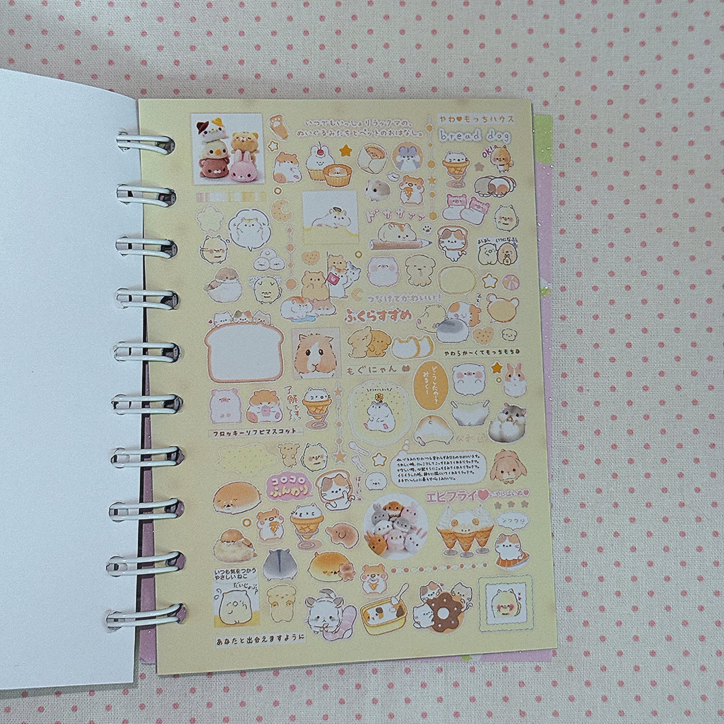 Sticker Book ♡ 50 pages