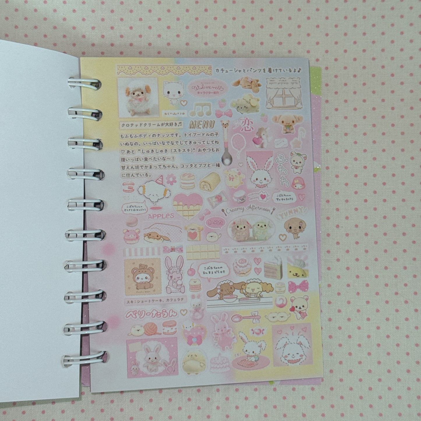 Sticker Book ♡ 50 pages