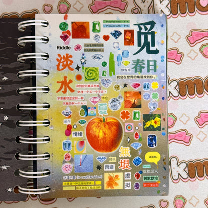 Sticker Book ♡ 35 pages