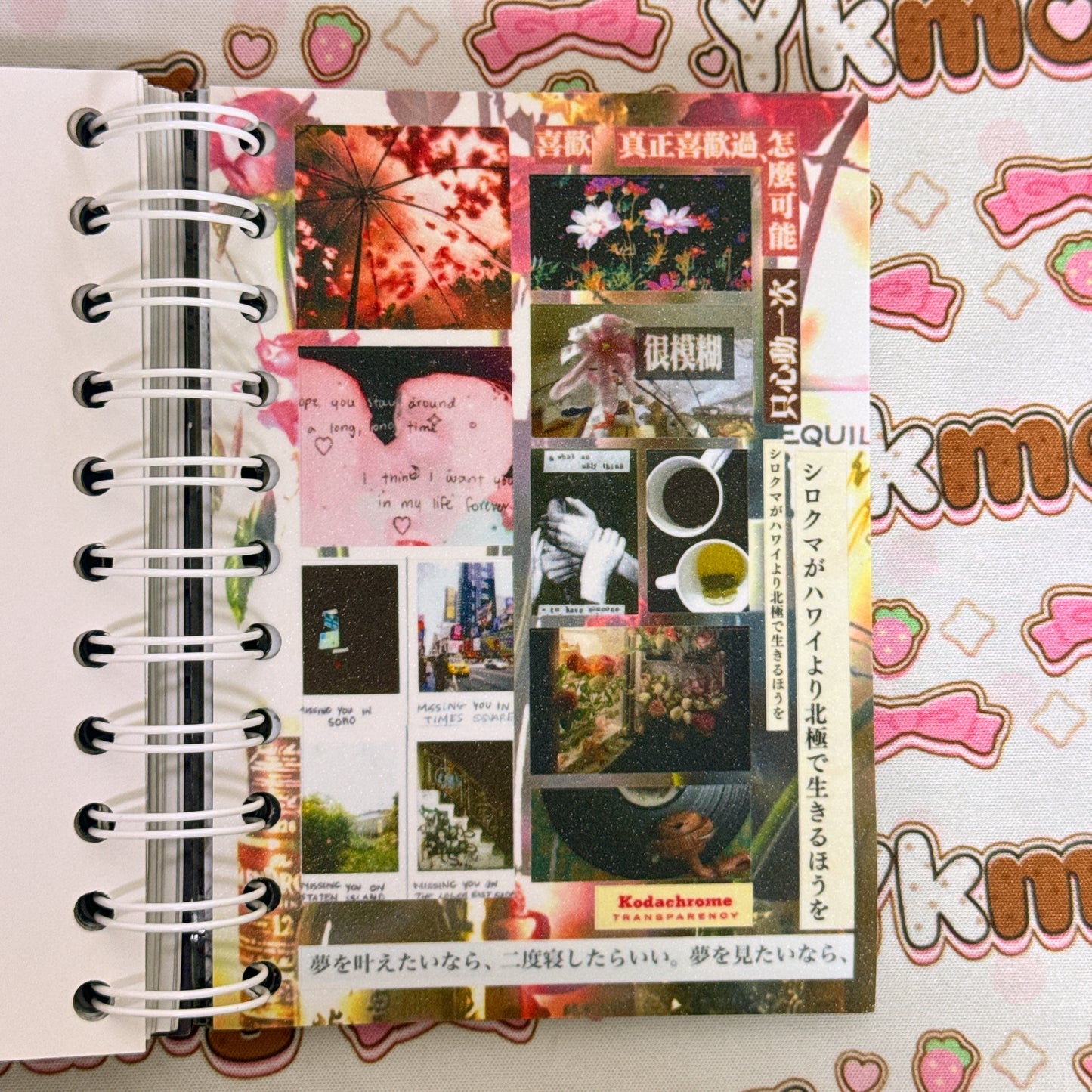 Sticker Book ♡ 35 pages