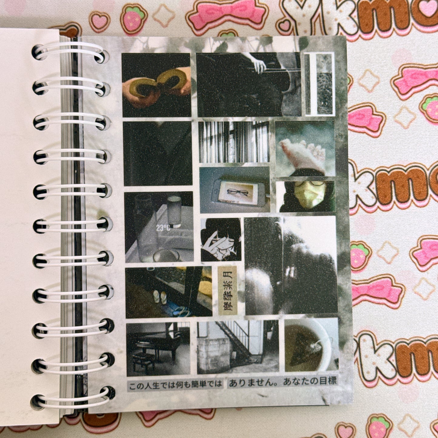 Sticker Book ♡ 35 pages