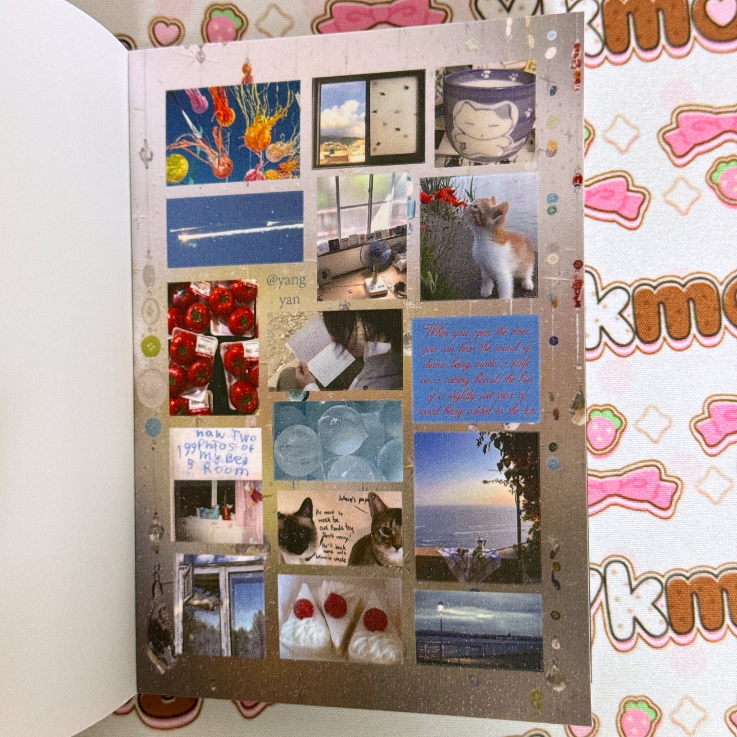 Sticker Book ♡ 30 pages