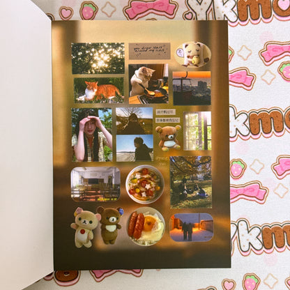 Sticker Book ♡ 30 pages