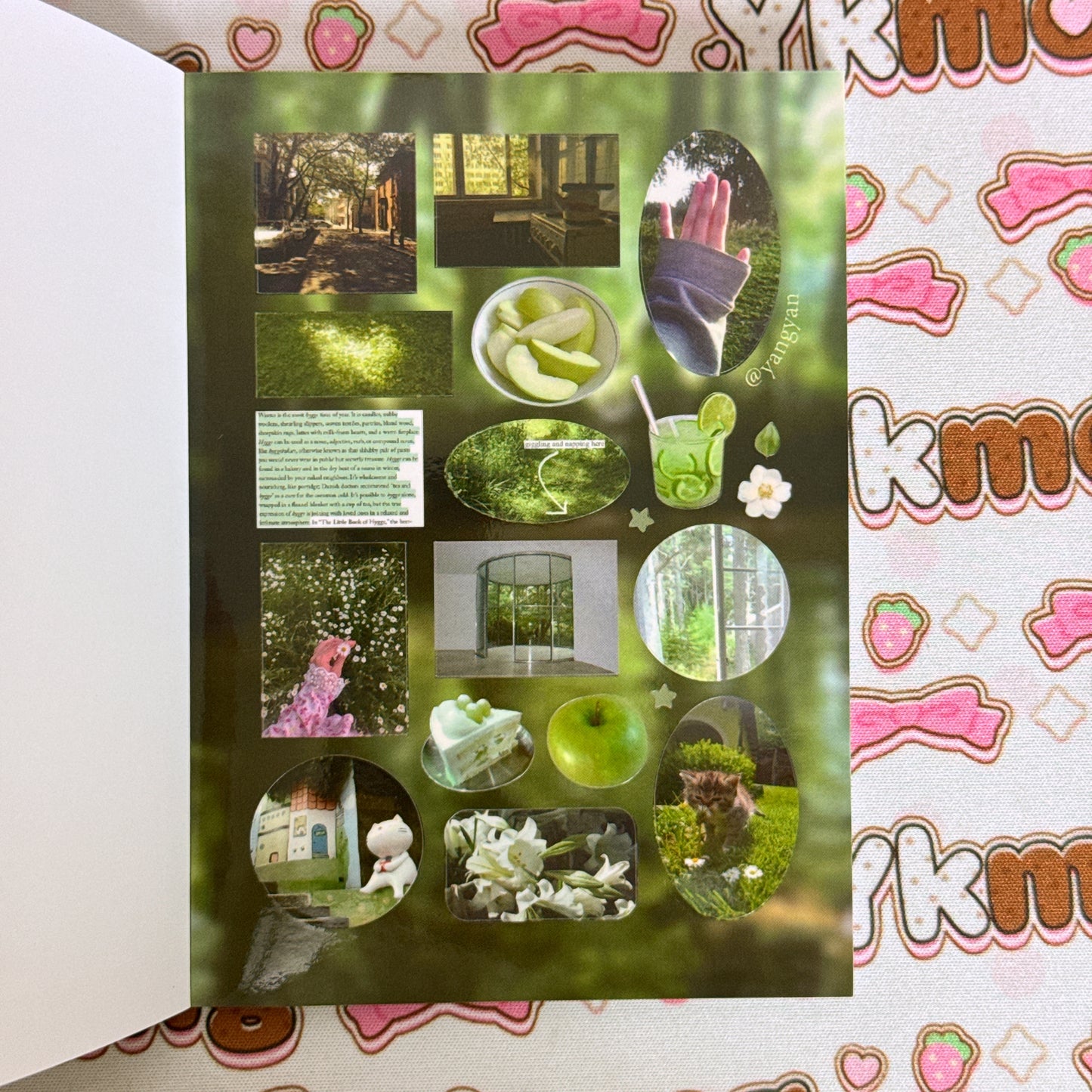 Sticker Book ♡ 30 pages