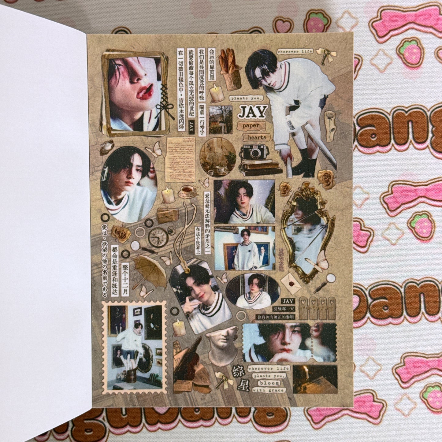 Sticker Book ♡ 25 pages