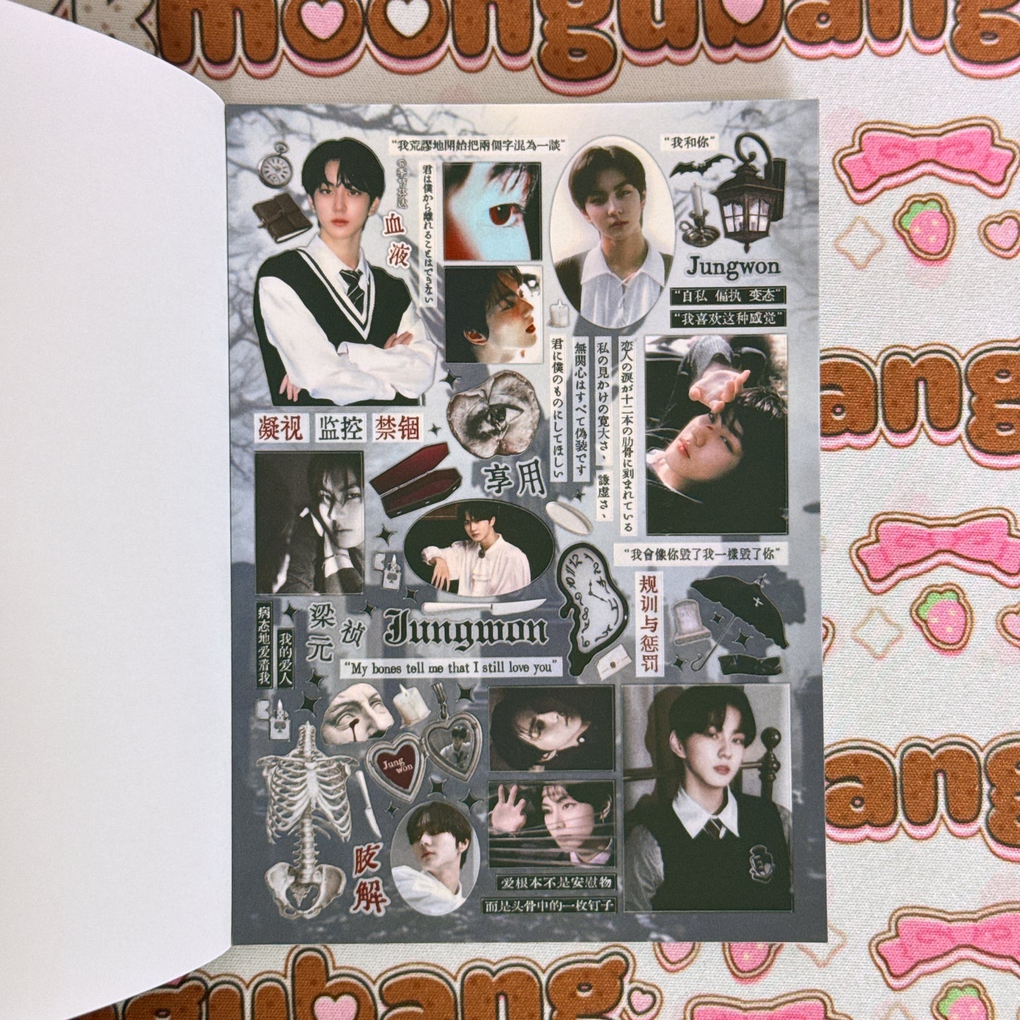 Sticker Book ♡ 25 pages